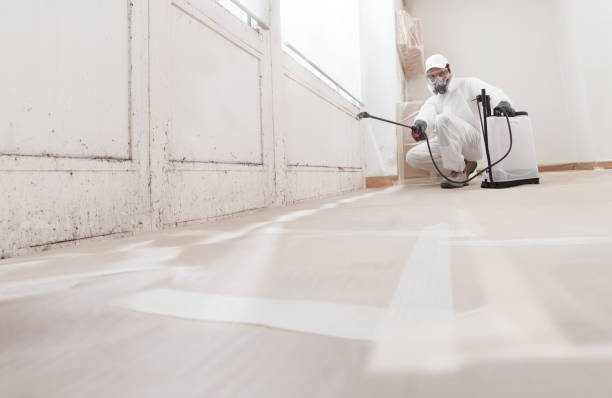 24/7 Emergency Mold Removal experts in Ashburn, VA
